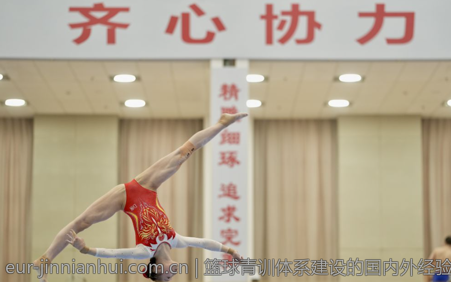 篮球青训体系建设的国内外经验对比