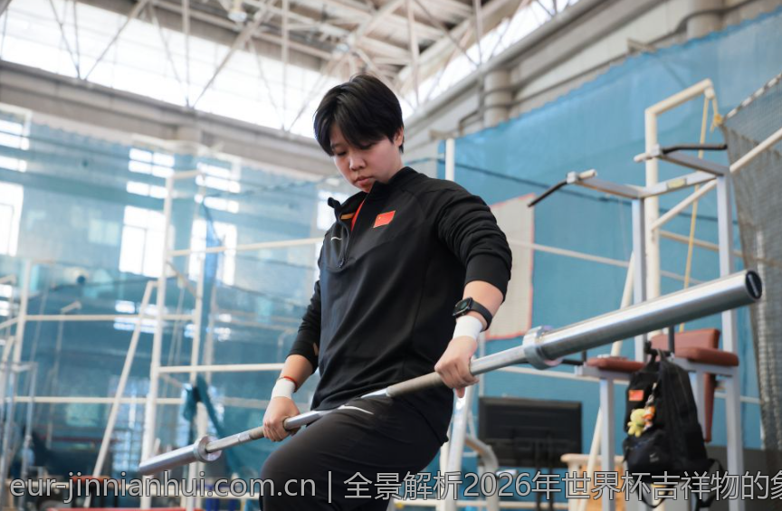 全景解析2026年世界杯吉祥物的象征意义与特色亮点